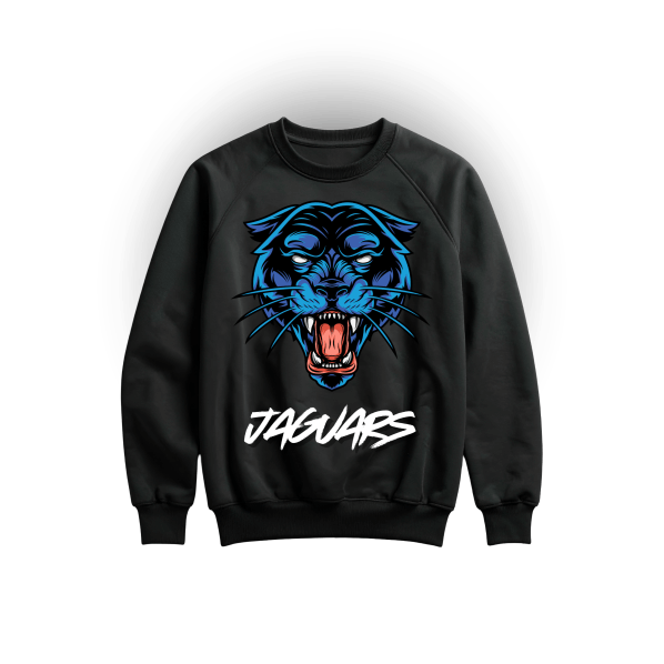 Ayaan Jaguars